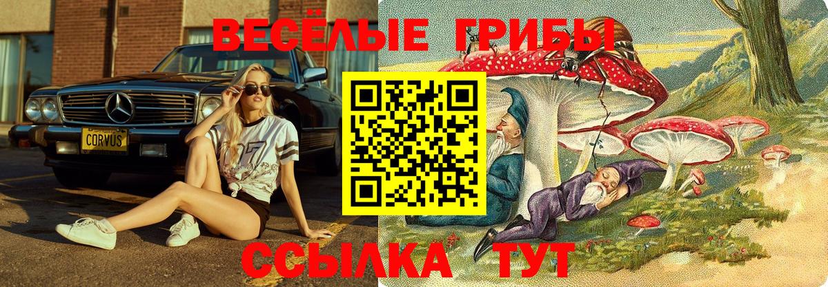 Галлюциногенные грибы мухоморы  Вход с VPN  наркотики  Изобильный 