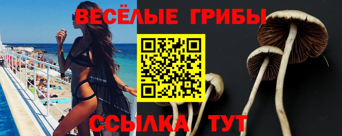 Галлюциногенные грибы мицелий Изобильный